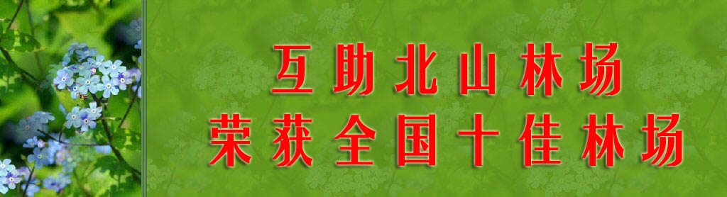 ����ͼƬ��