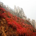 �����ı�ɽ����